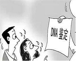 曲靖头发可以做DNA亲子鉴定吗，匿名亲子鉴定收费多少钱